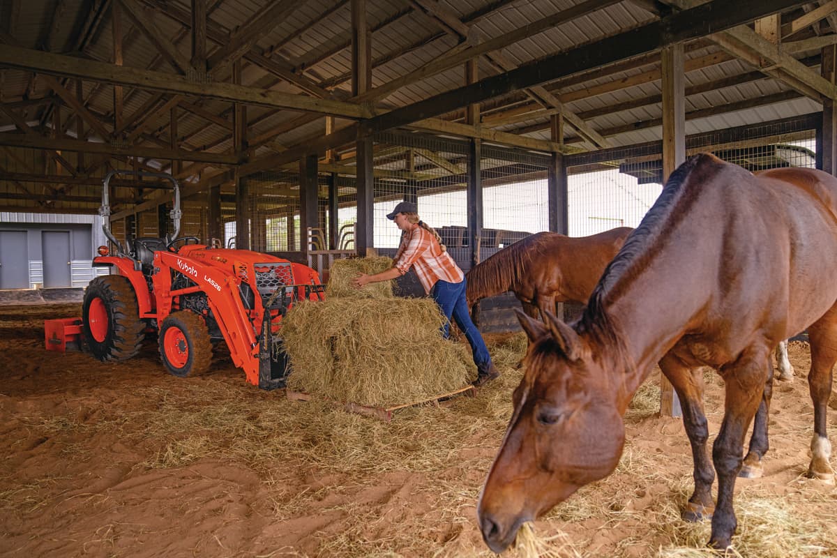 woman feeding horses hay with L2502